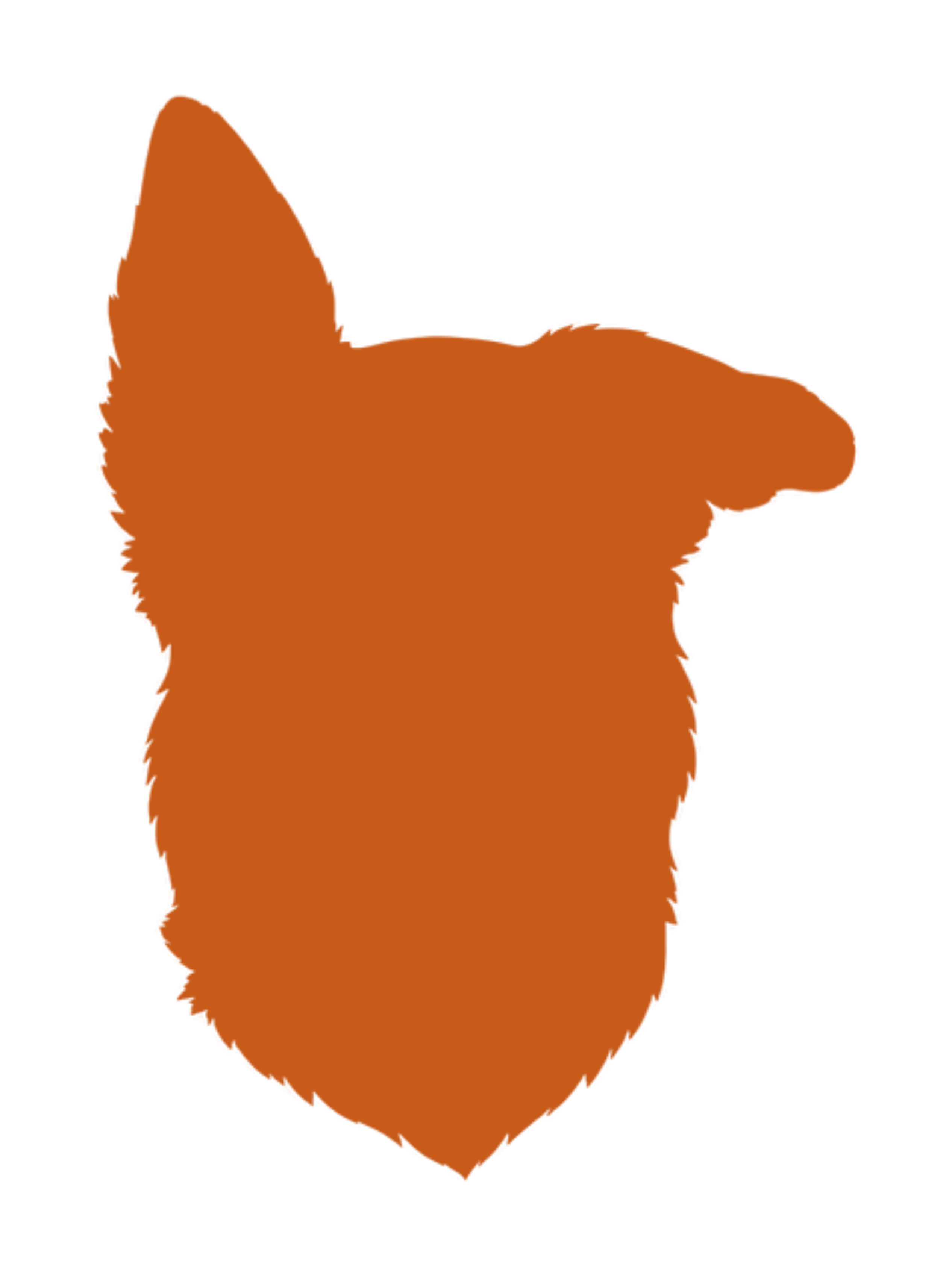 Koby’s silhouette